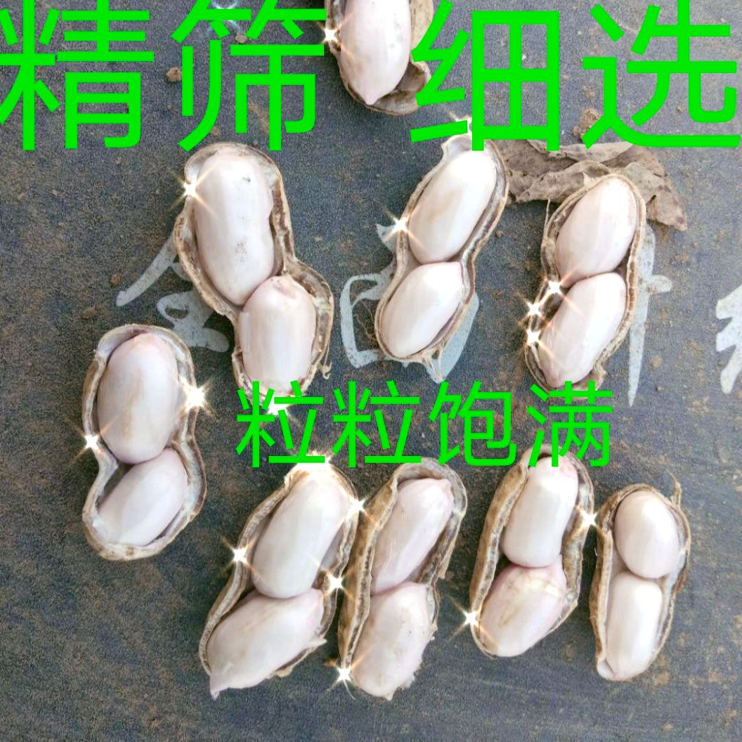 鲜花生  大白沙系列上市中