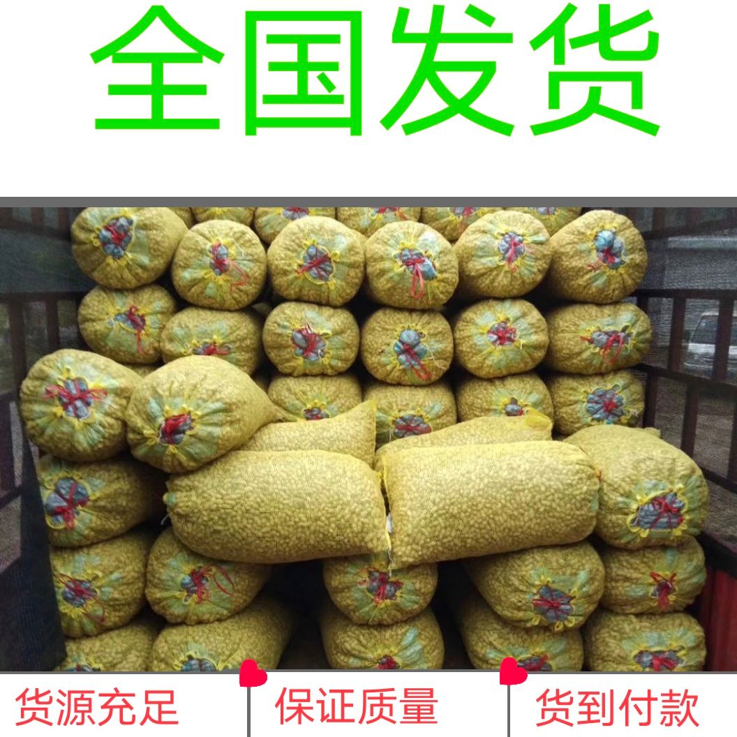 鲜花生  大白沙系列上市中