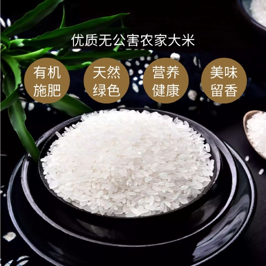 道县野香优丝苗米 稻谷发源地之道州优质香米米粒细长香味浓郁口感软糯