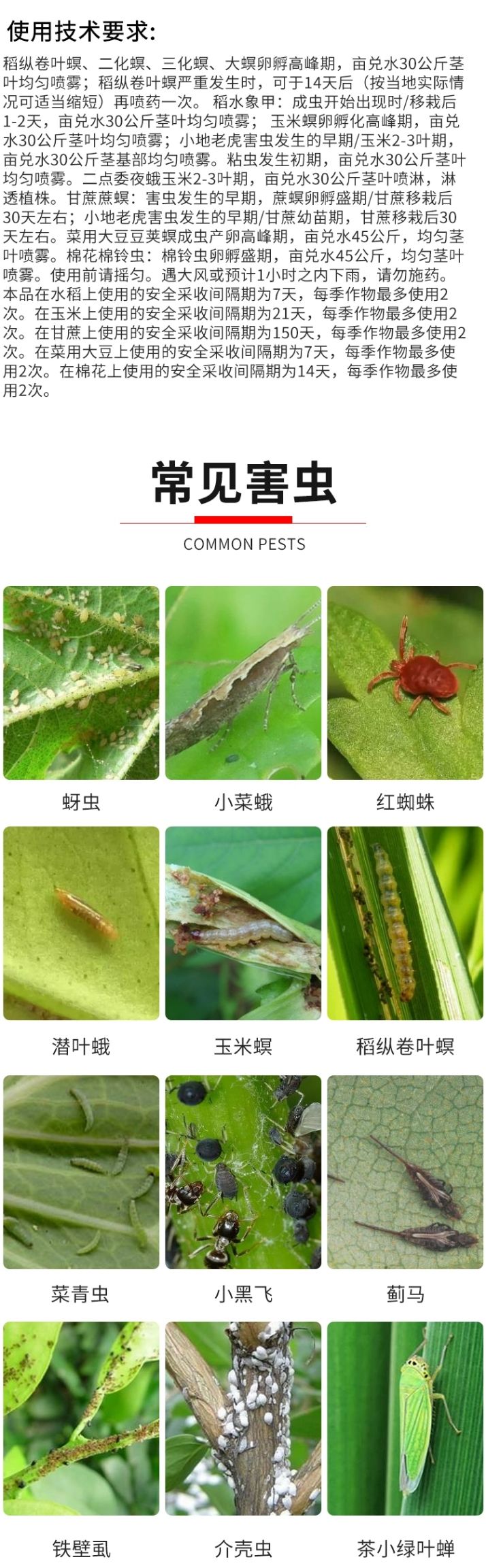 美国杜邦康宽氯虫苯甲酰胺水稻蔬菜钻心虫卷叶螟农药杀虫剂