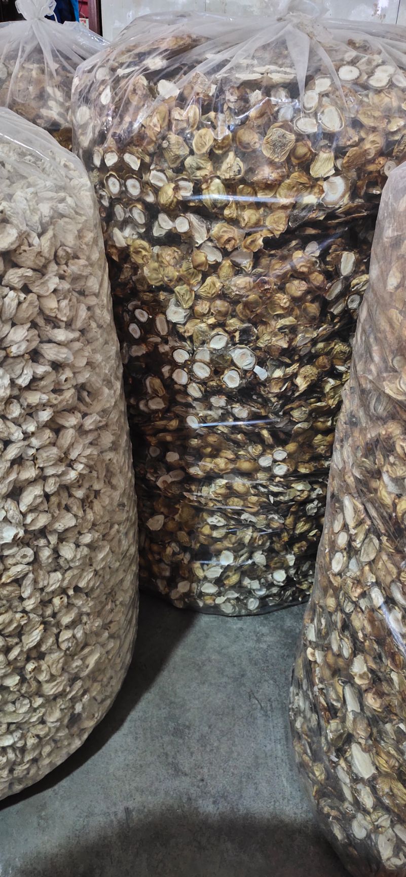 四川长宁菌类山珍系列竹荪蛋干蛋片