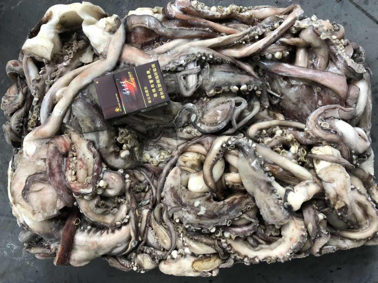 鱿鱼 秘鲁鱿鱼 鱿鱼头 船冻秘鲁鱿鱼头