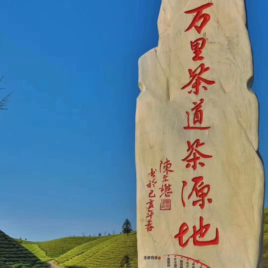 鹤峰县恩施富硒绿茶 湖北恩施硒茶