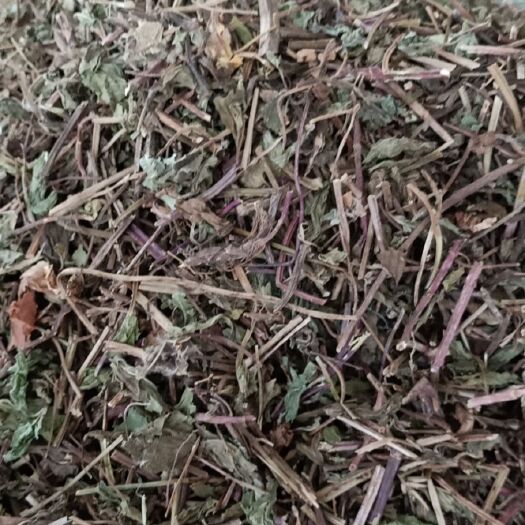 玉林中药材薄荷 干