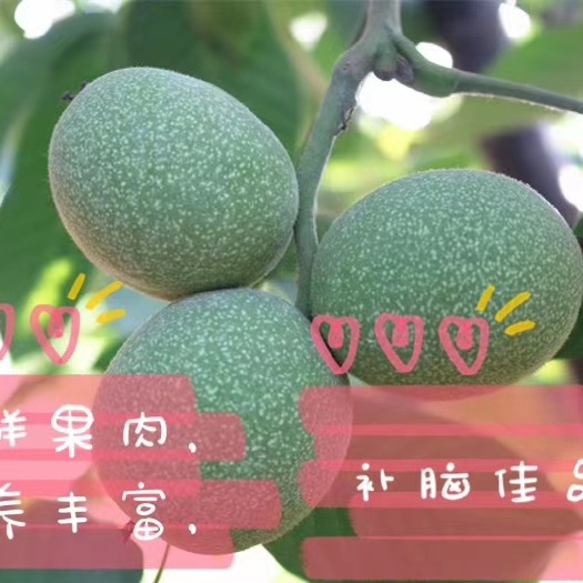 济南 核桃一斤一斤