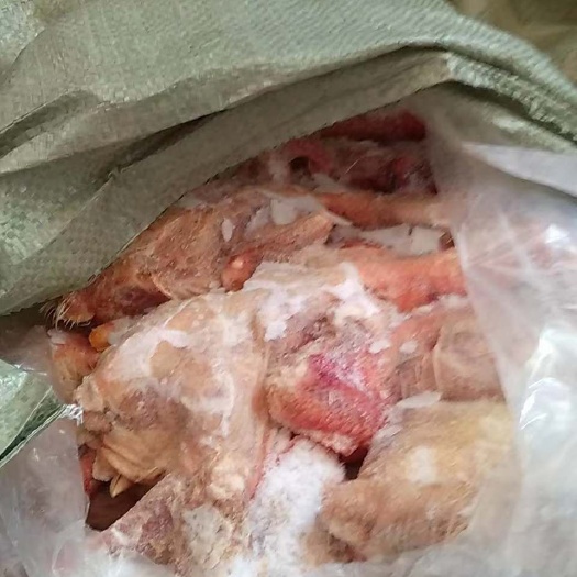 徐州白条鸡 冷冻