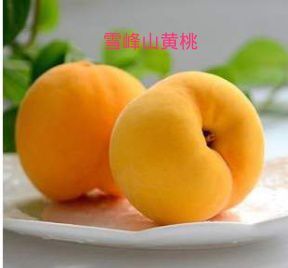 新邵县 【雪峰山黄桃】