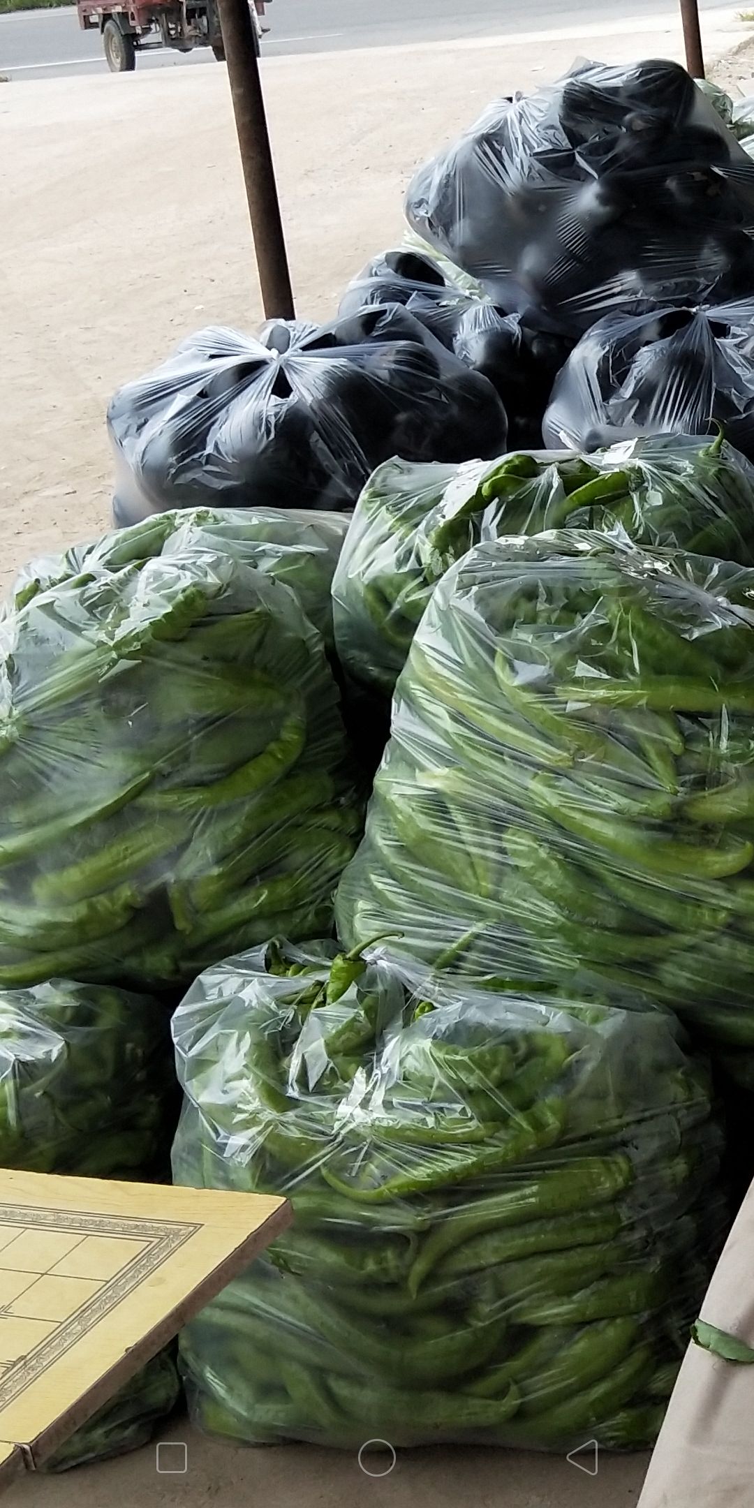 长角辣椒  长剑辣椒