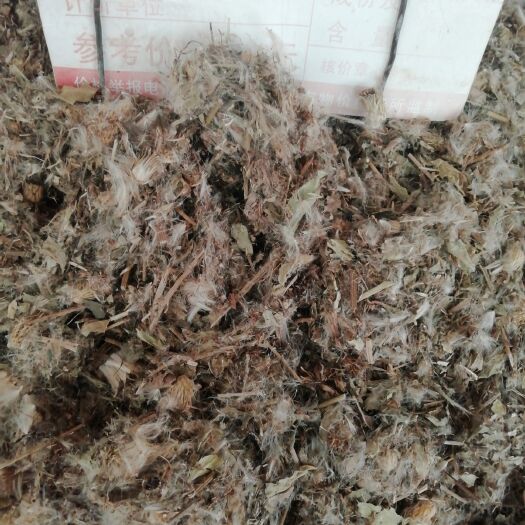 玉林 中药材 小蓟 小蓟草 根 小计 七七牙 刺儿菜 水野红花