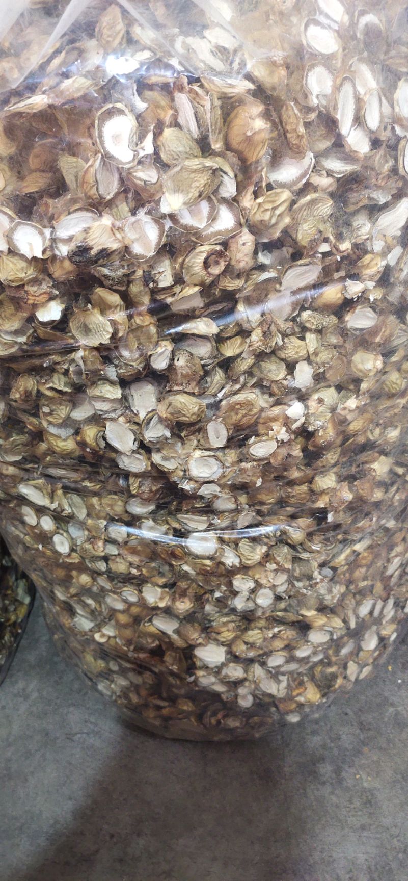 四川长宁菌类山珍系列竹荪蛋干蛋片