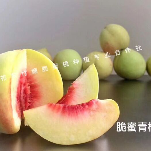 祁东县基地直销 桃子 脆桃 黄桃 白桃
