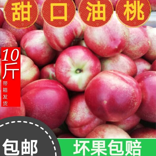 瓦房店市 包邮新鲜甜油桃大果香甜爽口老少孕妇水果赠送佳品一件代发