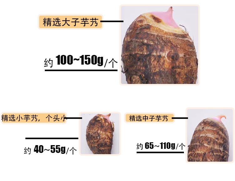 江西鉛山縣新鮮現挖高品質紅芽芋