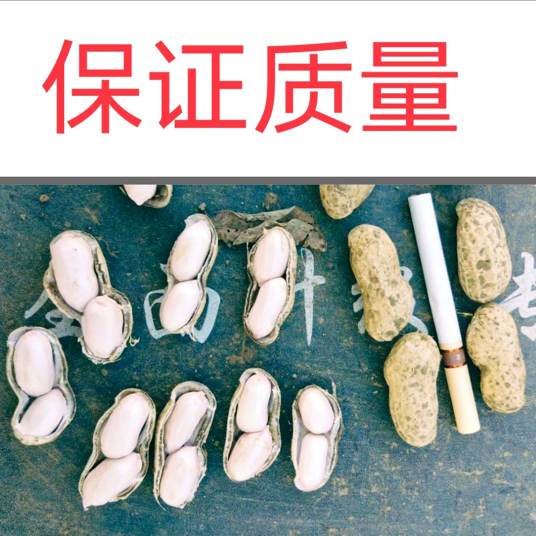 优质，鲜花生，大白沙，精筛，细选，货源充足，保证质量诚信经营