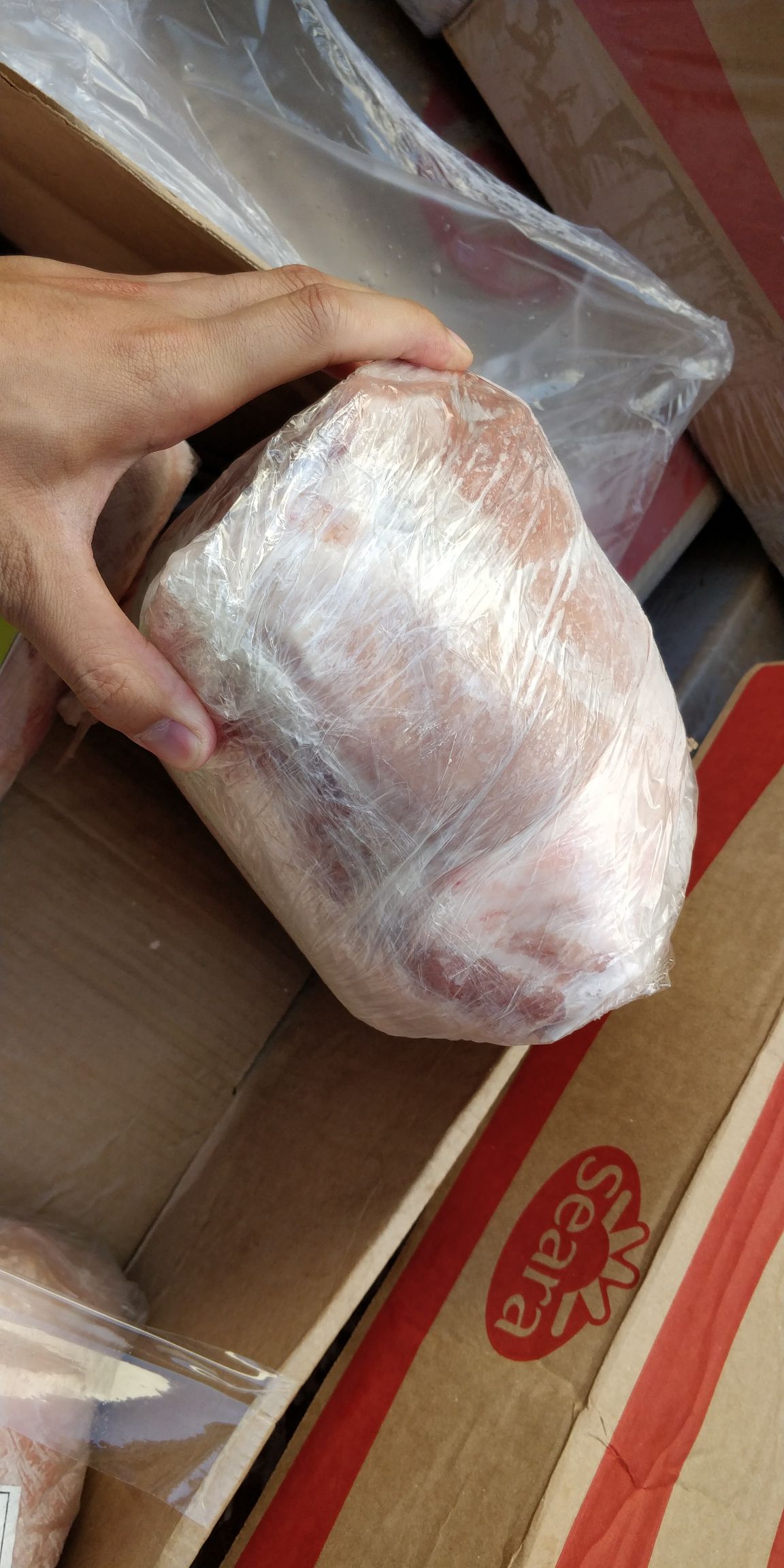 猪肉 猪前腿肉 2号肉 去皮去膘前腿肉