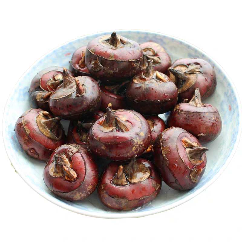  广西红皮马蹄（一件代发）