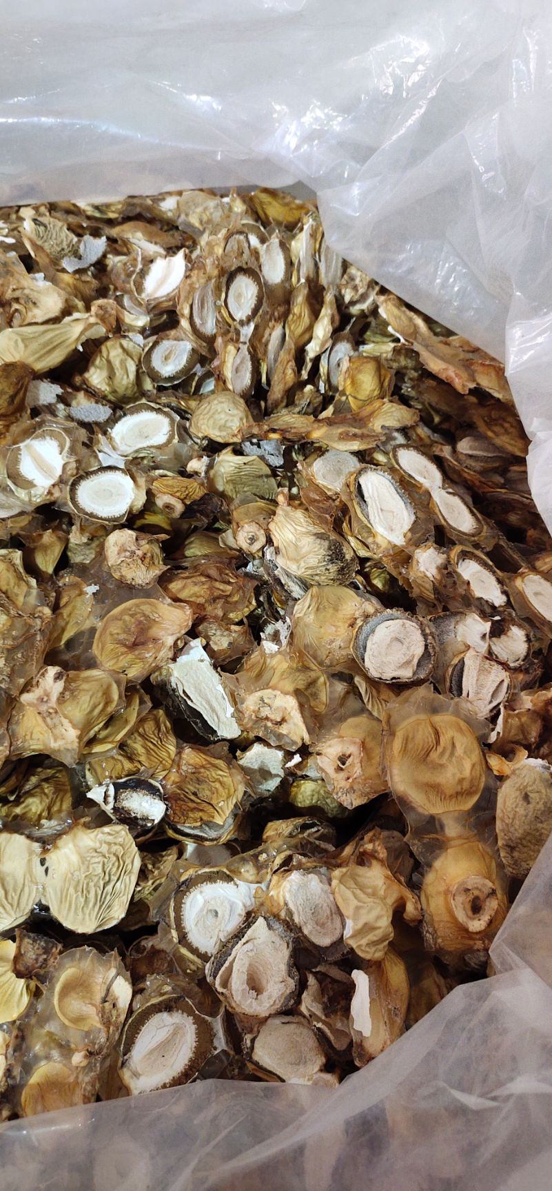 四川长宁菌类山珍系列竹荪蛋干蛋片