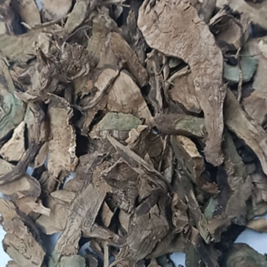 玉林伤寒草  田氏中草药黄箭根三叉金三托艾大箭根三姐妹500g