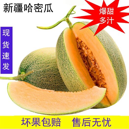 临沂新疆哈密瓜新鲜网纹瓜5斤西州蜜脆甜多汁整箱批发小蜜瓜10水