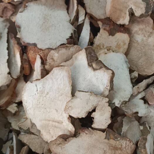玉林土茯苓 田氏原生土土伏苓粉片干茯苓片土获苓苻苓药材