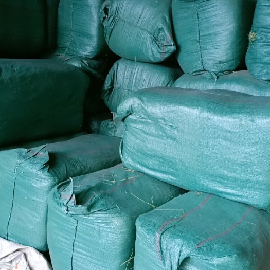 岷县 20年优质提摩西草，兔子的最爱