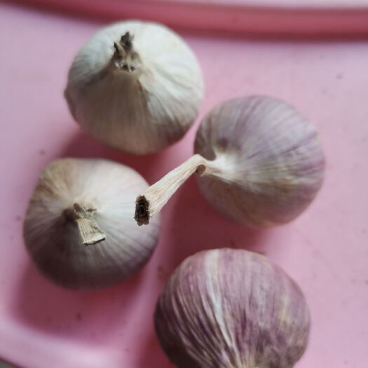 宁陵县独头蒜