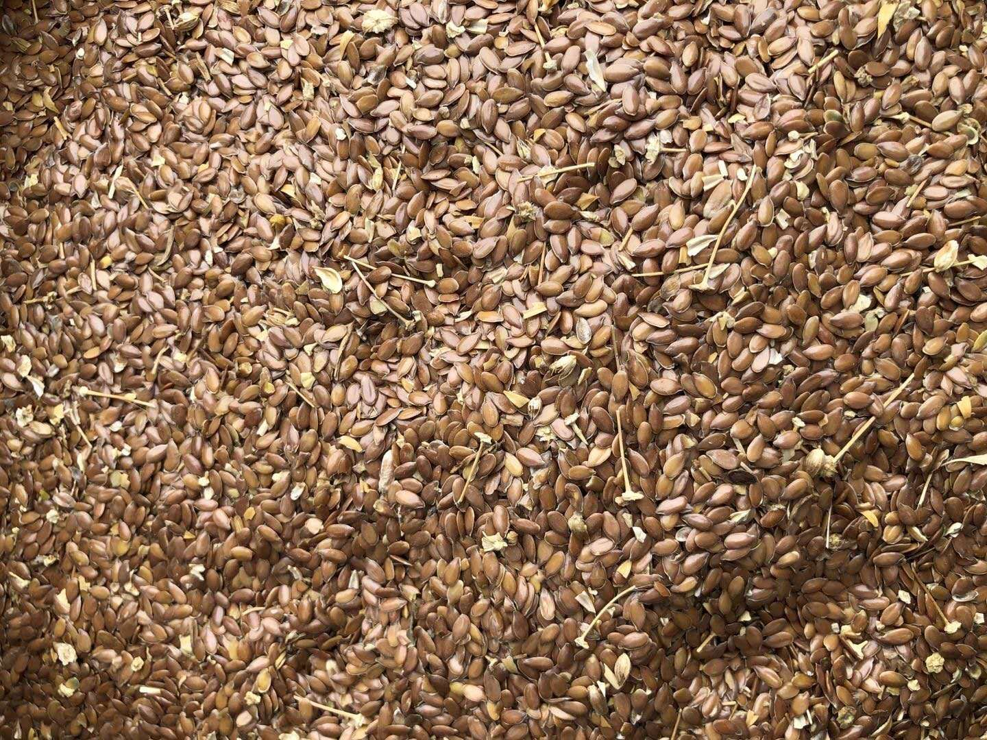 俄罗斯亚麻籽，出油率高。