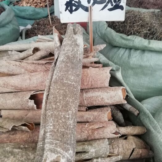 玉林广西新货救必应，王老吉，批发加零售