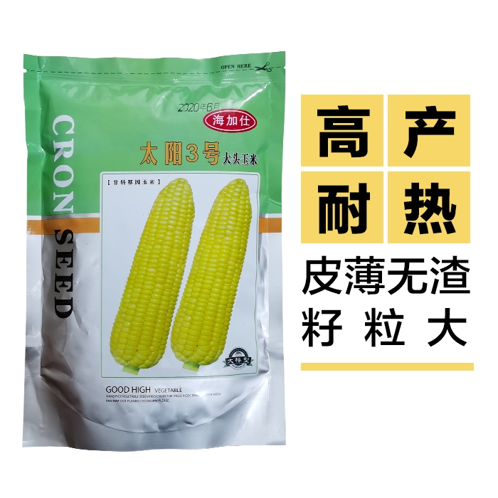 广州 超甜玉米种子种孑种粒泰系太阳3号三号大棒大田耐热高产玉米种孑