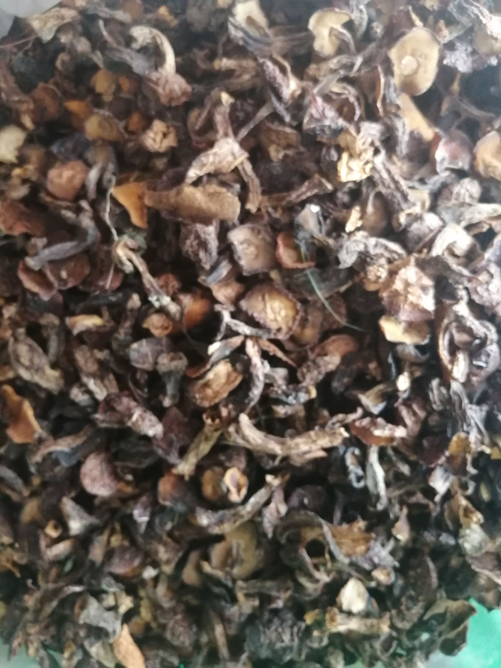  手选剪跟松蘑小块，颜色黄，肉厚，质量价位优惠多多
