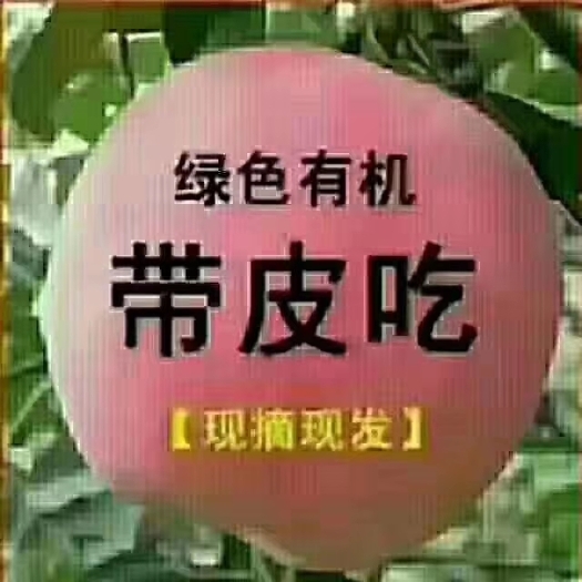 昭通 云南昭通高原苹果，香脆带皮吃，很甜