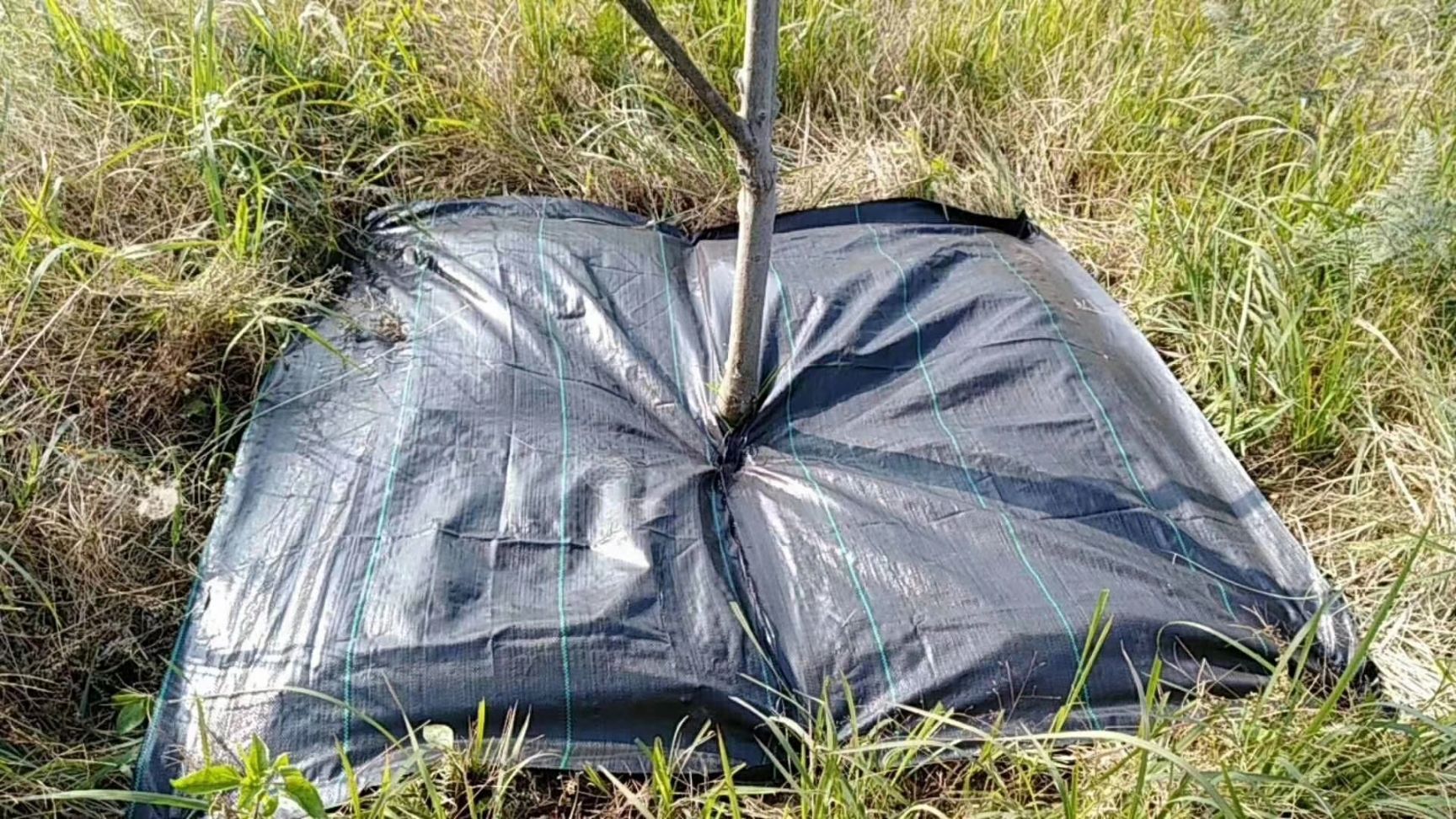 厂家生产销售各种防草布 型号齐全 质量可靠
