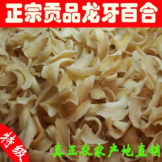 广州 百合龙牙百合产地直销新货上市大量批发，量大从优，欢迎咨询合