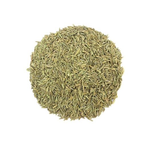 多年生黑麦草种子耐寒养牛羊鸡鹅鱼苜蓿草种籽牧草养殖黑麦草籽