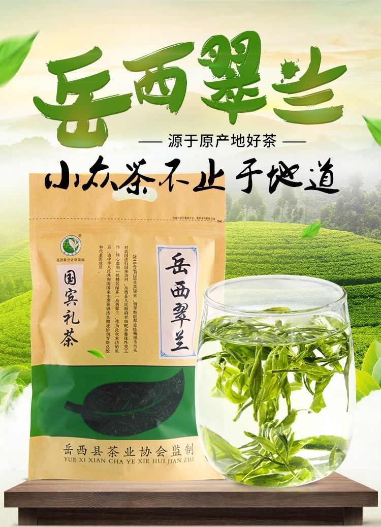 翠兰绿茶叶2024新茶岳西翠兰大别山安徽安庆高山云雾绿茶
