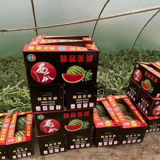武功县美都西瓜  陕西精品大棚美都8424西瓜，质量好，价格优。