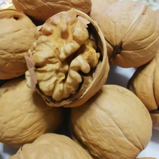 成都新疆核桃  新疆185纸皮核桃  颗粒饱满 口味香醇