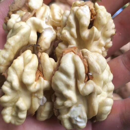 盐源县 鲜核桃，价格优惠！有需要的请联系我