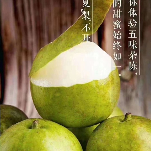 常州 焦溪翠冠梨 正宗鲜果 今年已经结束了 期待明年