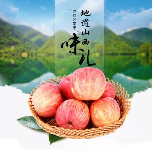 临猗县 山西临猗苹果，店主自家产地直销