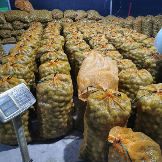 灵寿县 灵寿县青皮核桃大量上市