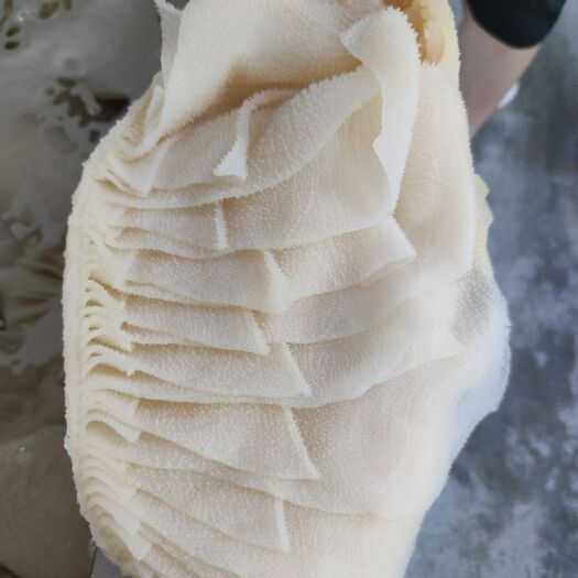 仙游县 精品牛百叶