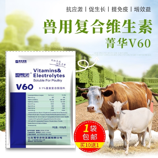 诸城市维生素添加剂 猪牛羊用复合维生素电解多维v60 抗应激 促生长