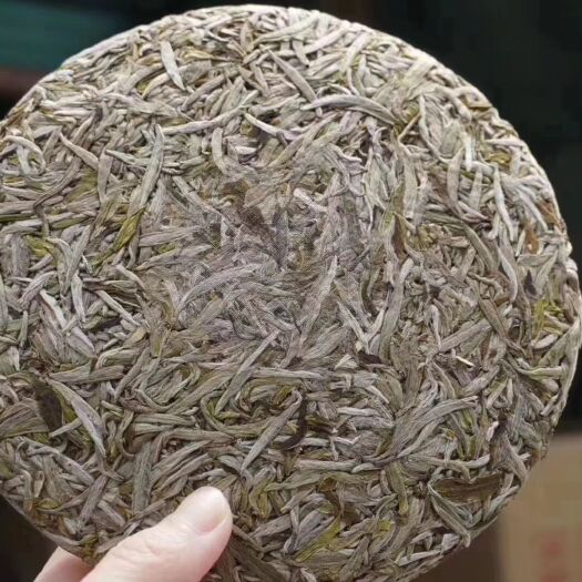 福安市 🍵 厂家直销回馈新老顾客
2019年 头采白毫银针🍃