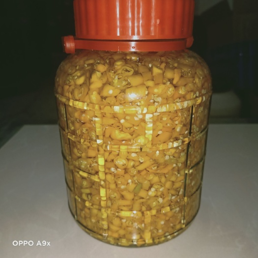 衡东县 齐玄皇私房剁辣椒