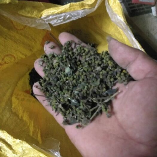 大化县吴茱萸 正宗江西中花干货