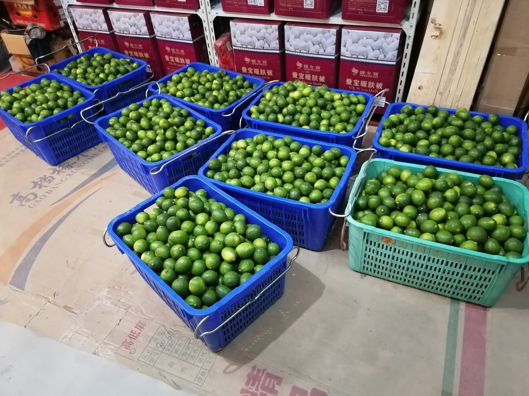  你要无籽青柠檬，我有货是果农。