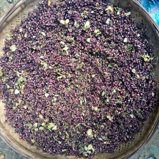 大姚县大红袍花椒 红椒