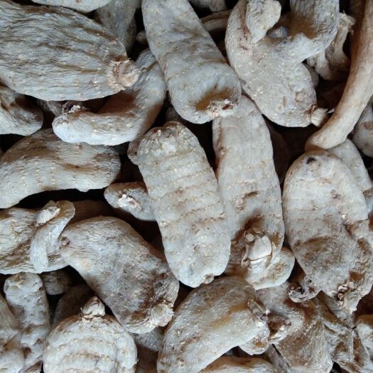 丹凤县乌红杂交天麻 特级10个一斤扳子麻，产地一手货源，价格低有要的老板联系。