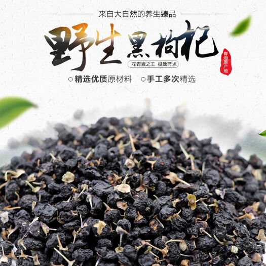 沧县黑枸杞 超低价位